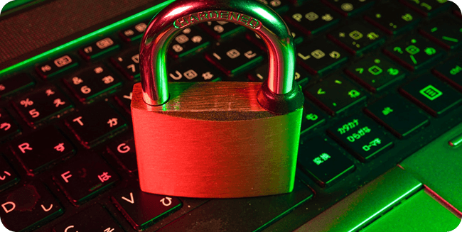 Loss-prevention security