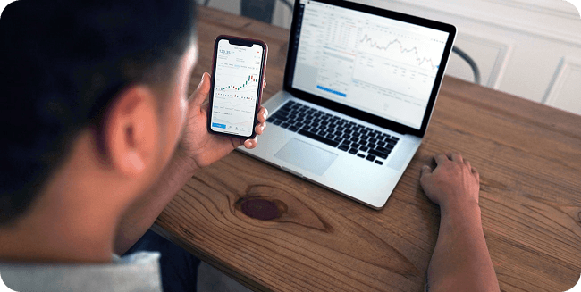 Investment risk insight